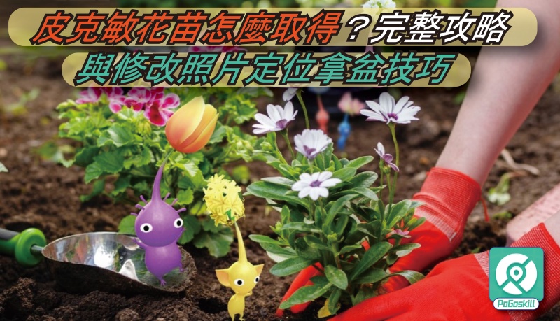 皮克敏花苗取得攻略｜快速拿花苗方法、步數機制與隱藏技巧
