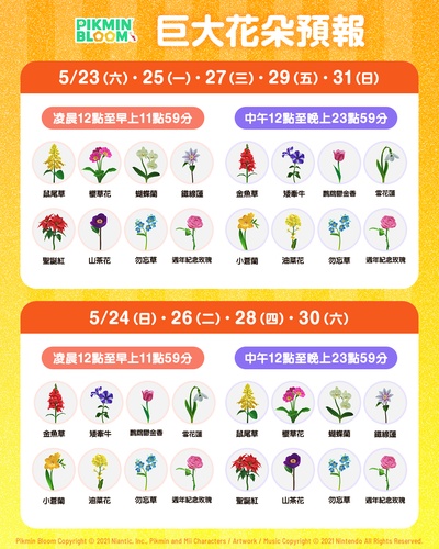 皮克敏巨大花朵預報