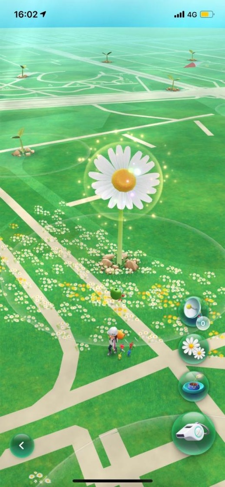 熱門大花座標點