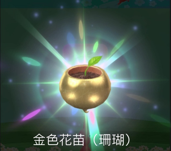皮克敏金色花苗