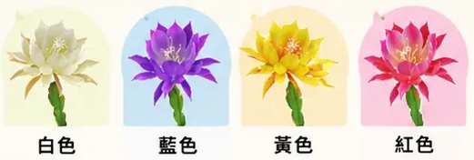 皮克敏7月主花：曇花 (蘭花仙人掌)