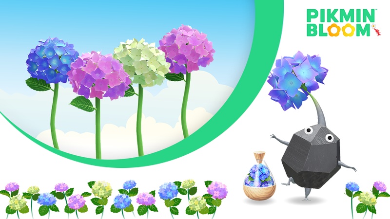 皮克敏6月副花