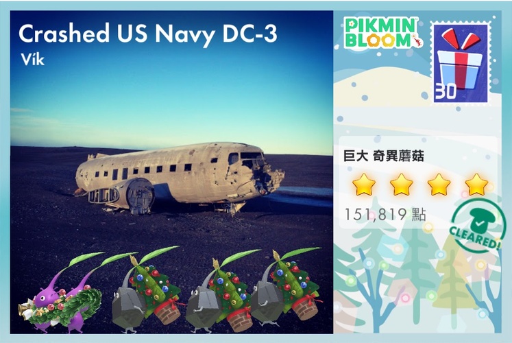 DC-3飛機殘骸菇點