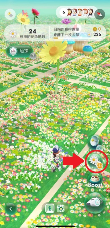 選擇種植花瓣顔色