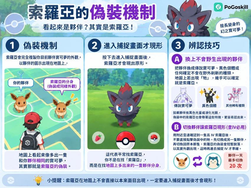 索羅亞怎麼辨認