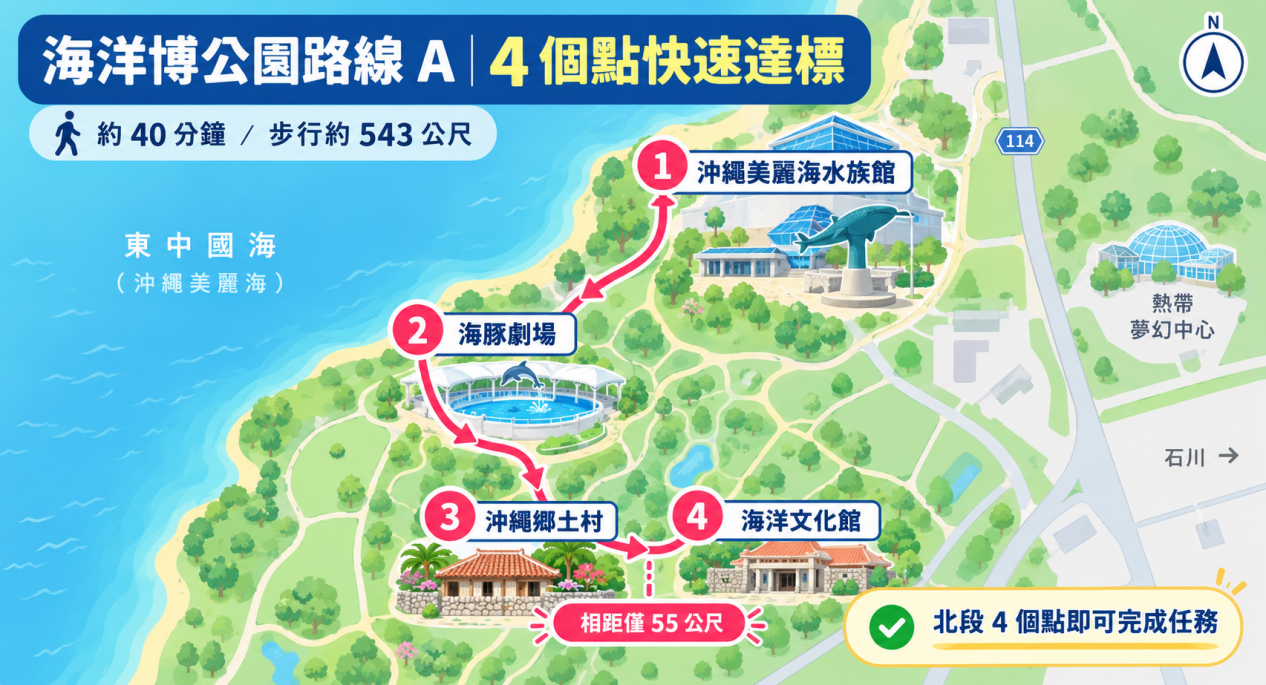 皮克敏海洋博公園路線 A：4 個特殊地點快速達標地圖