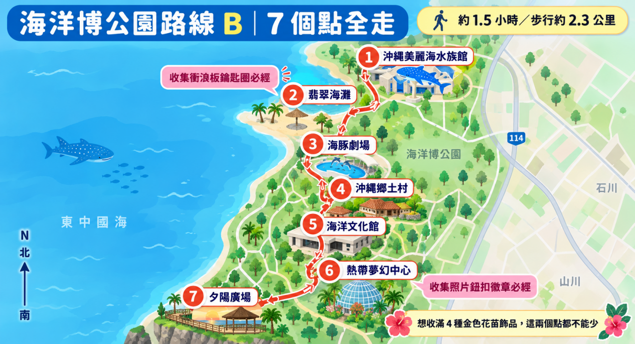 皮克敏海洋博公園路線 B：7 個特殊地點完整走訪地圖