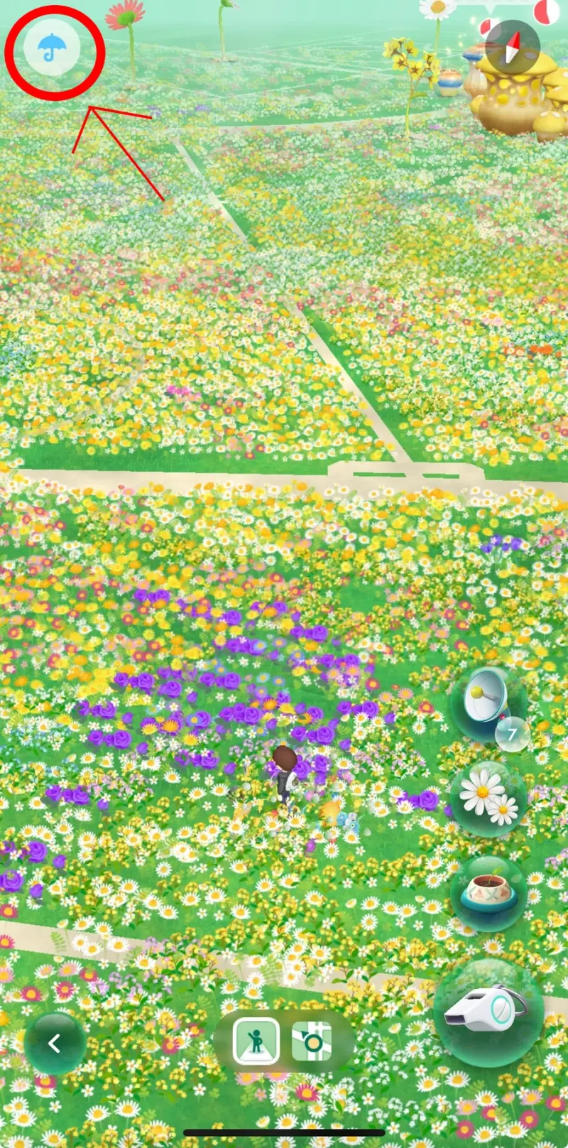 Pikmin Bloom 遊戲畫面顯示雨天圖示與花苗地圖