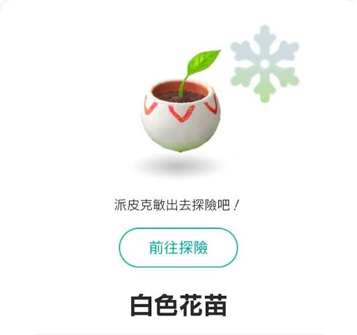 Pikmin Bloom 探索取得白色雪皮花苗的遊戲畫面