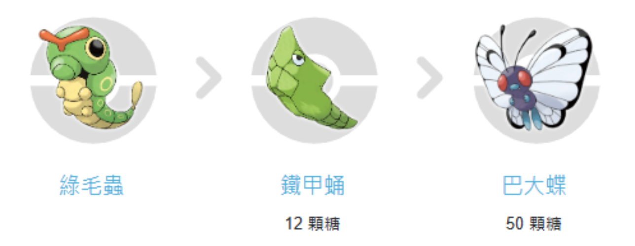 巴大蝶進化等級