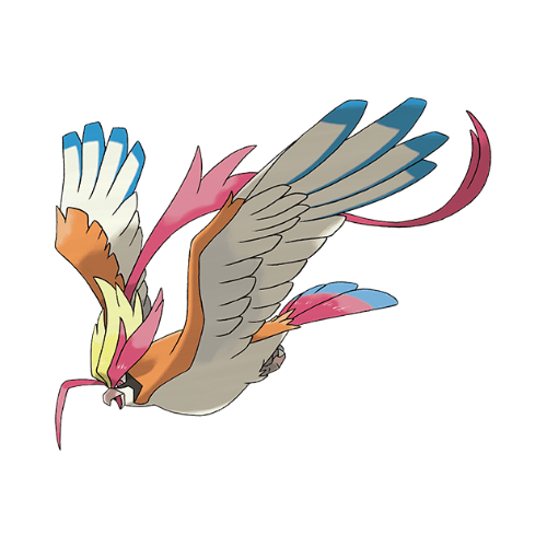 超級大比鳥