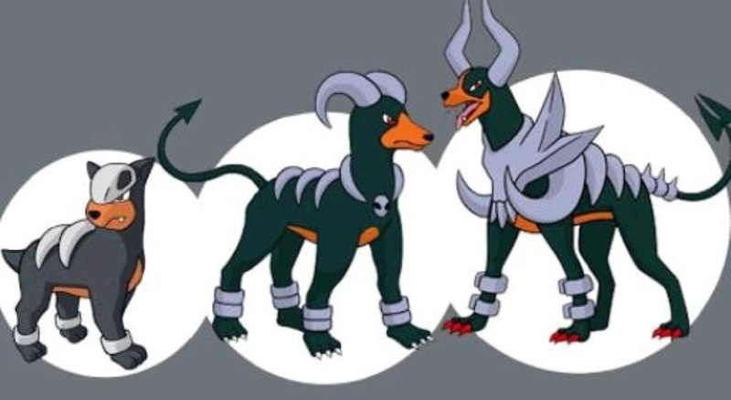 Pokemon GO黑魯加進化