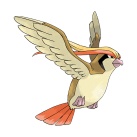 大比鳥Pokemon