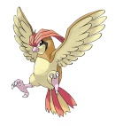 超級大比鳥