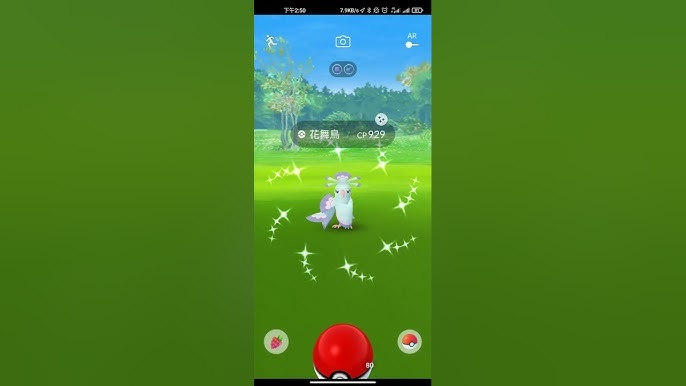 花舞鳥捕捉技巧