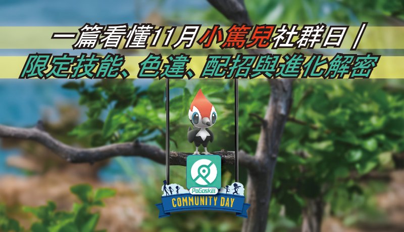 小篤兒社群日全面解析