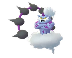 色違雷電雲（化身形態）