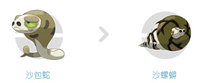 沙包蛇如何進化