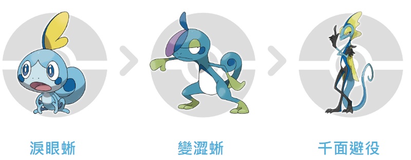 淚眼蜥進化