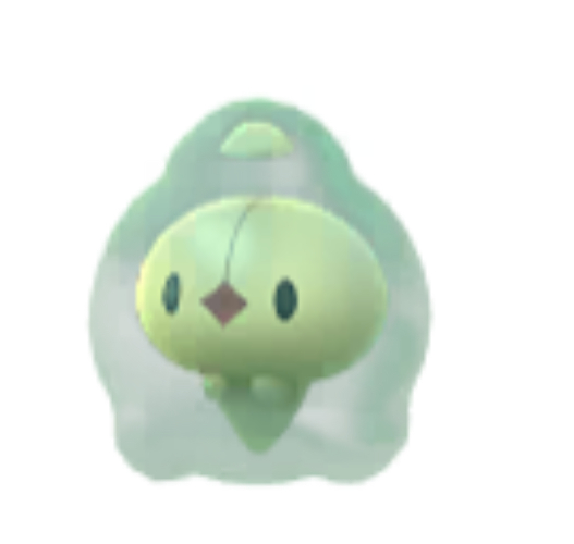 雙卵細胞球色違  