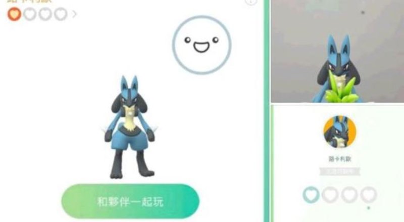 選擇一個給力好夥伴 