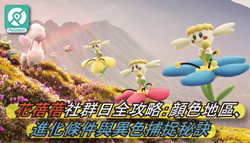 花蓓蓓社群日全攻略