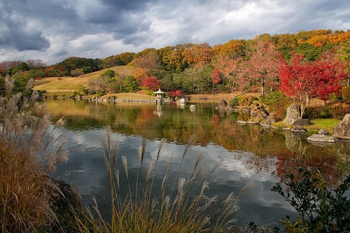 公園東部棲息地