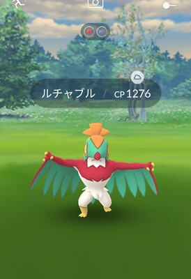 摔角鷹人哪裡抓