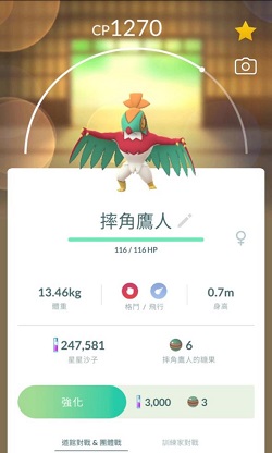 摔角鷹人