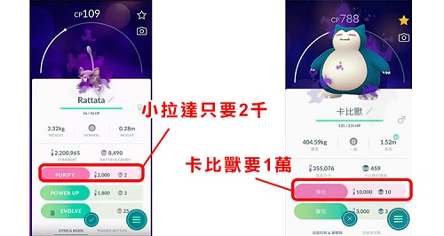 淨化寶可夢