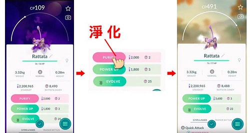淨化寶可夢
