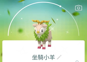 坐騎小羊配招